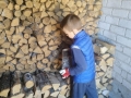 Emilis