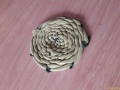 98596248_249826599428789_7960793772298600448_n