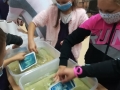 120351857_841278729963639_342192289538242158_n