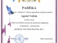 Agata