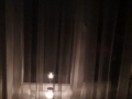 138064001_234021184944806_8260787268228717927_n