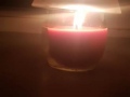 138073067_237231714532391_4802669938692897473_n