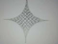 153764786_748998082660370_8332027782946234261_n