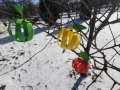 156909603_786398261968704_4027633157868743143_n