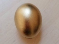 167706341_285642672963889_5158610544917139740_n