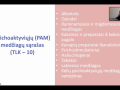 Ekrano-kopija-39