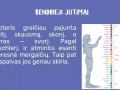 194858086_516048219749234_6000678727183510891_n