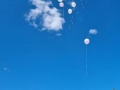 131339273_911472569633586_3383514961700188420_n