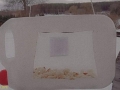 273019985_226826706319383_906425837436132953_n
