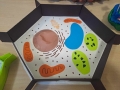 393938145_133660909837566_304237112539346009_n
