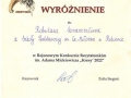 Robert-Savanevicius