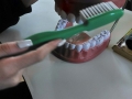 701192999_1684521429943896_3779335511388511493_n