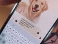 657972703_1639428981119808_7740525380046579155_n